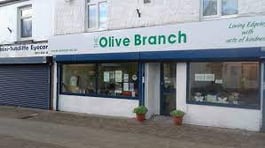 The Olive branck